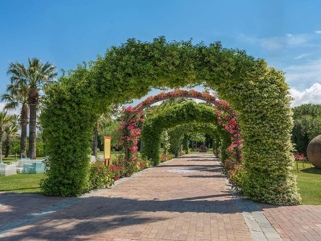 Savoy & - Preferred & Paestum