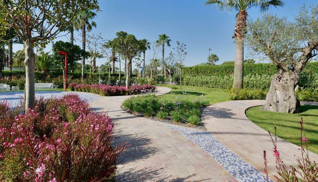 Savoy & - Preferred & Paestum